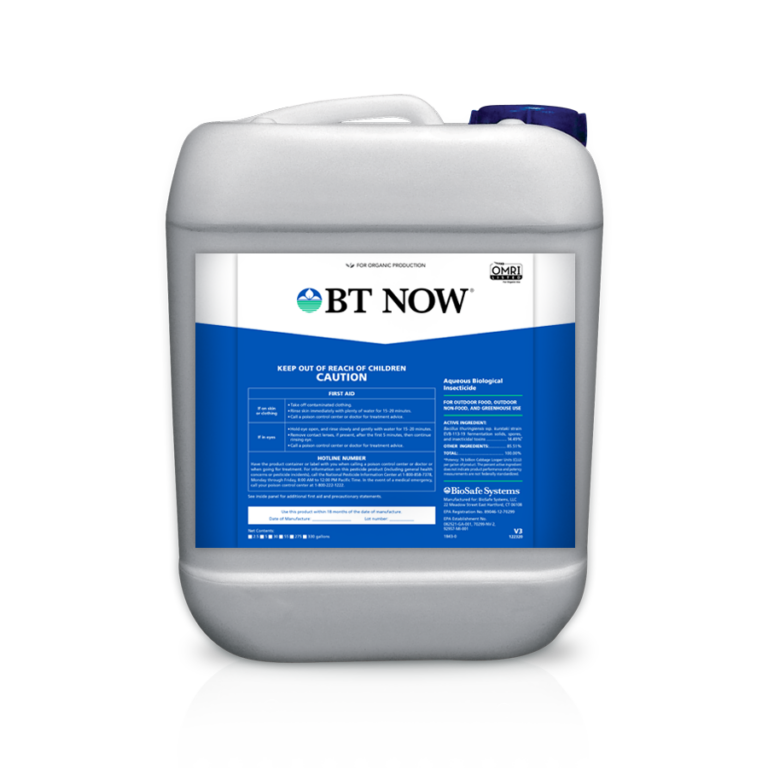 BT NOW 2.5G Container